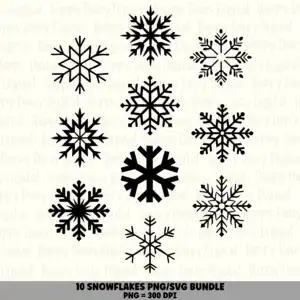 10 Snowflake PNG SVG Bundle | Snowflake Set 4 Designs | Sublimation Cricut Digital Download