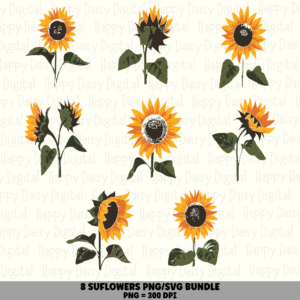 8 Sunflower PNG SVG Bundle | Sunflower Set 2 Designs | Sublimation Cricut Digital Download