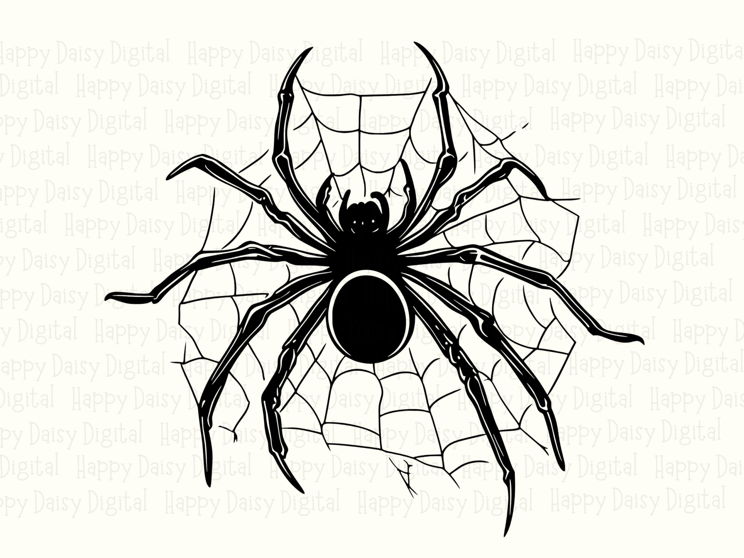 Spider Web SVG PNG Spider Web Design Line Art Illustration Cricut Silhouette Canva Commercial Use POD - Image 2