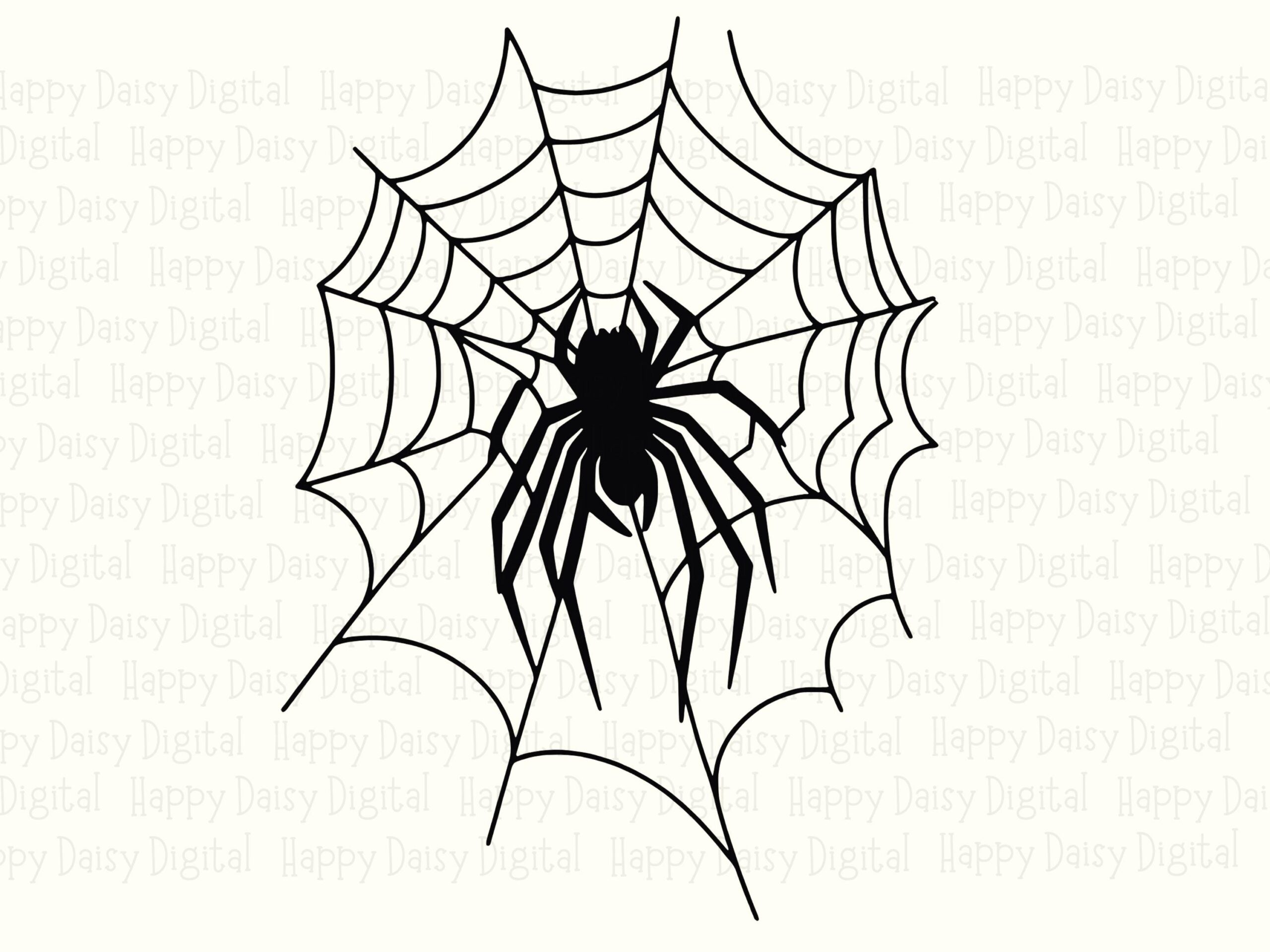 Spider Web SVG PNG Spider Web Simple Design Line Art Illustration Cricut Silhouette Canva Commercial Use POD - Image 2