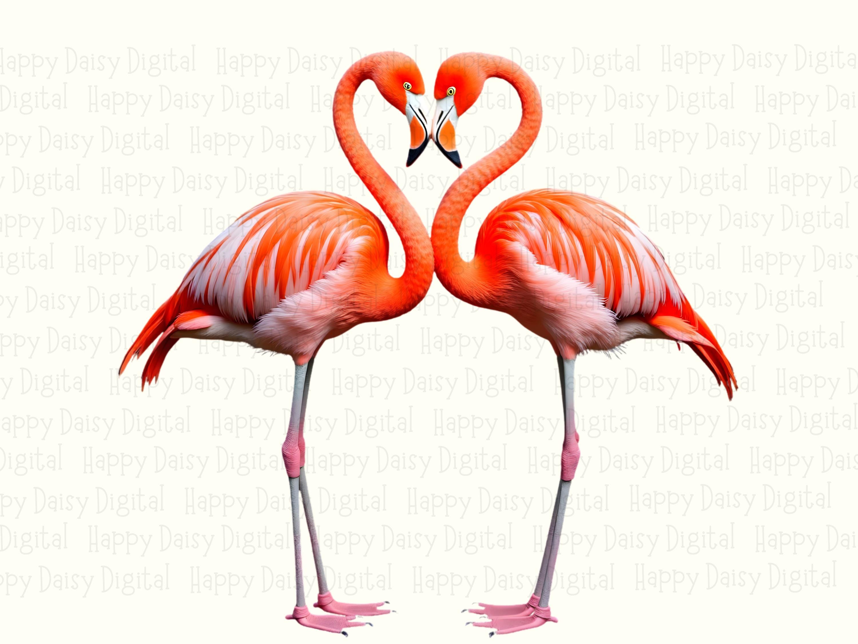 Flamingo Heart Kiss PNG | Sublimation Commercial Use POD - Image 2