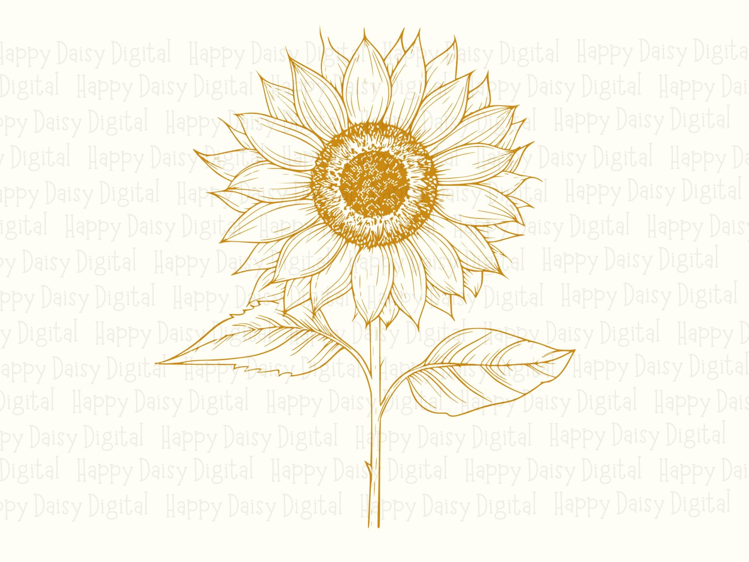 Golden Line Sunflower PNG SVG | Sublimation Commercial Use POD - Image 2