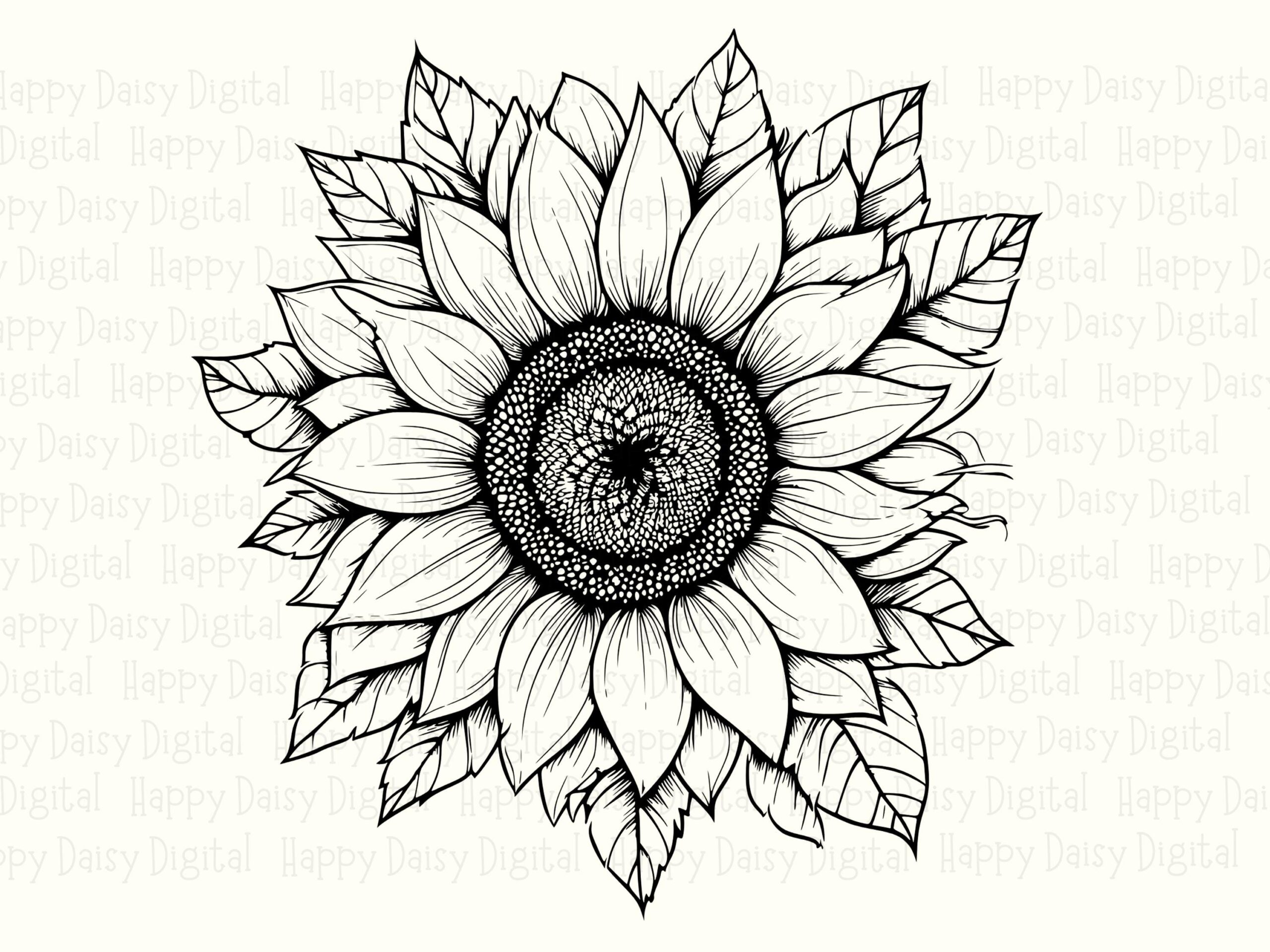 Elegant Line Sunflower PNG SVG | Sublimation Commercial Use POD - Image 2