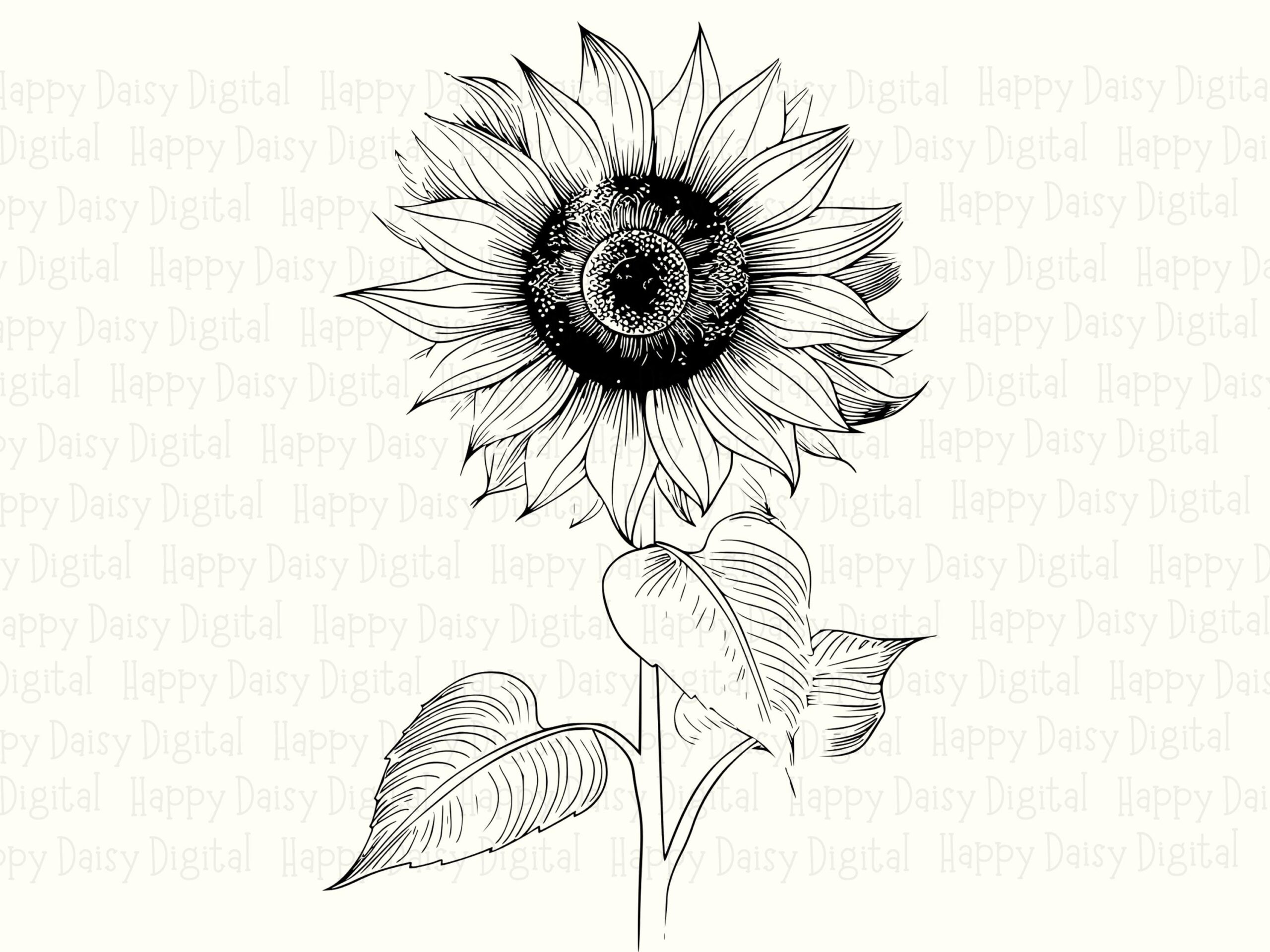 Sketchbook Sunflower PNG SVG | Sublimation Commercial Use POD - Image 2