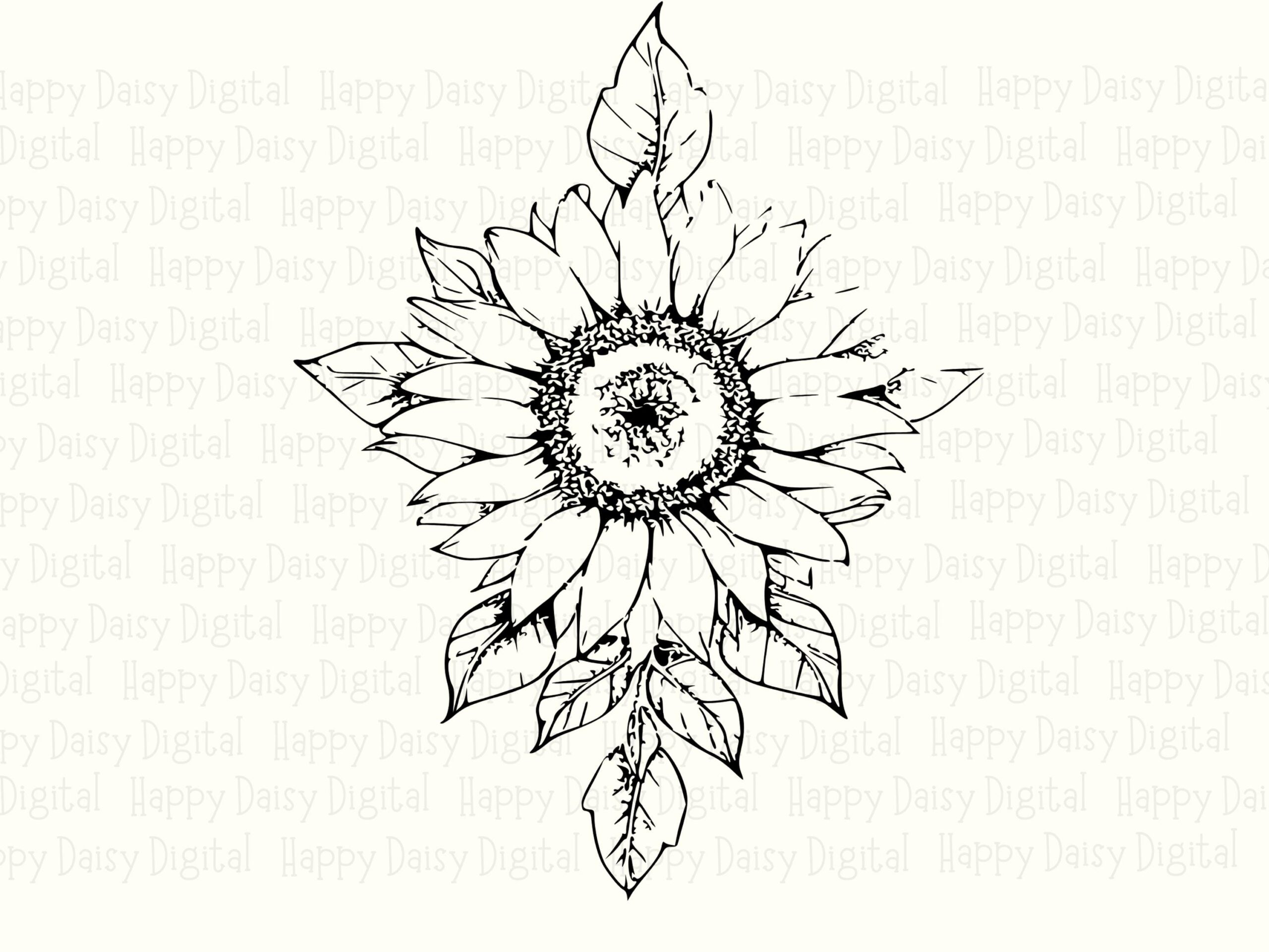 Ornate Sunflower Sketch PNG SVG | Sublimation Commercial Use POD - Image 2