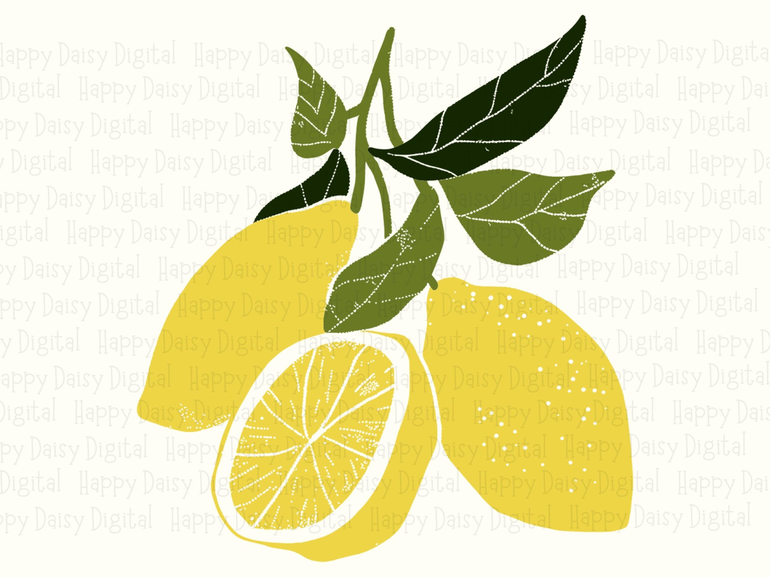 Lemon Branch, Botanical Citrus Clipart For POD Sellers - PNG & SVG Files | 300 dpi, Sublimation, Commercial Use - Image 2