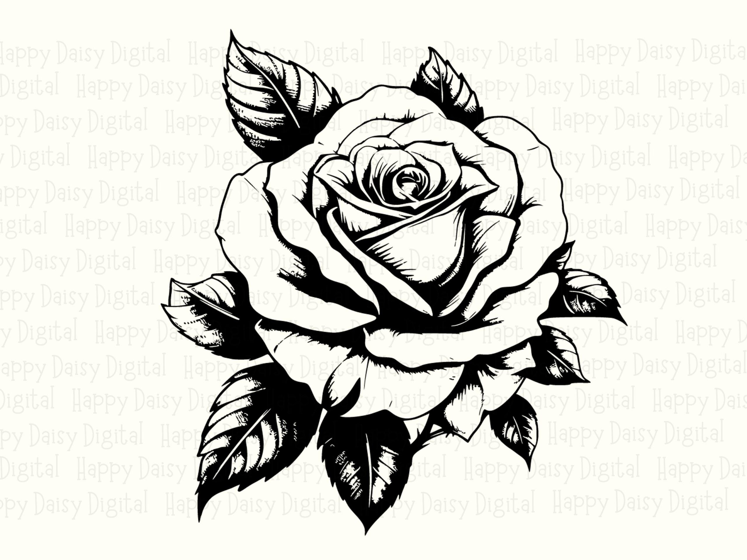 Inked Rose Sketch PNG SVG | Sublimation Commercial Use POD - Image 2