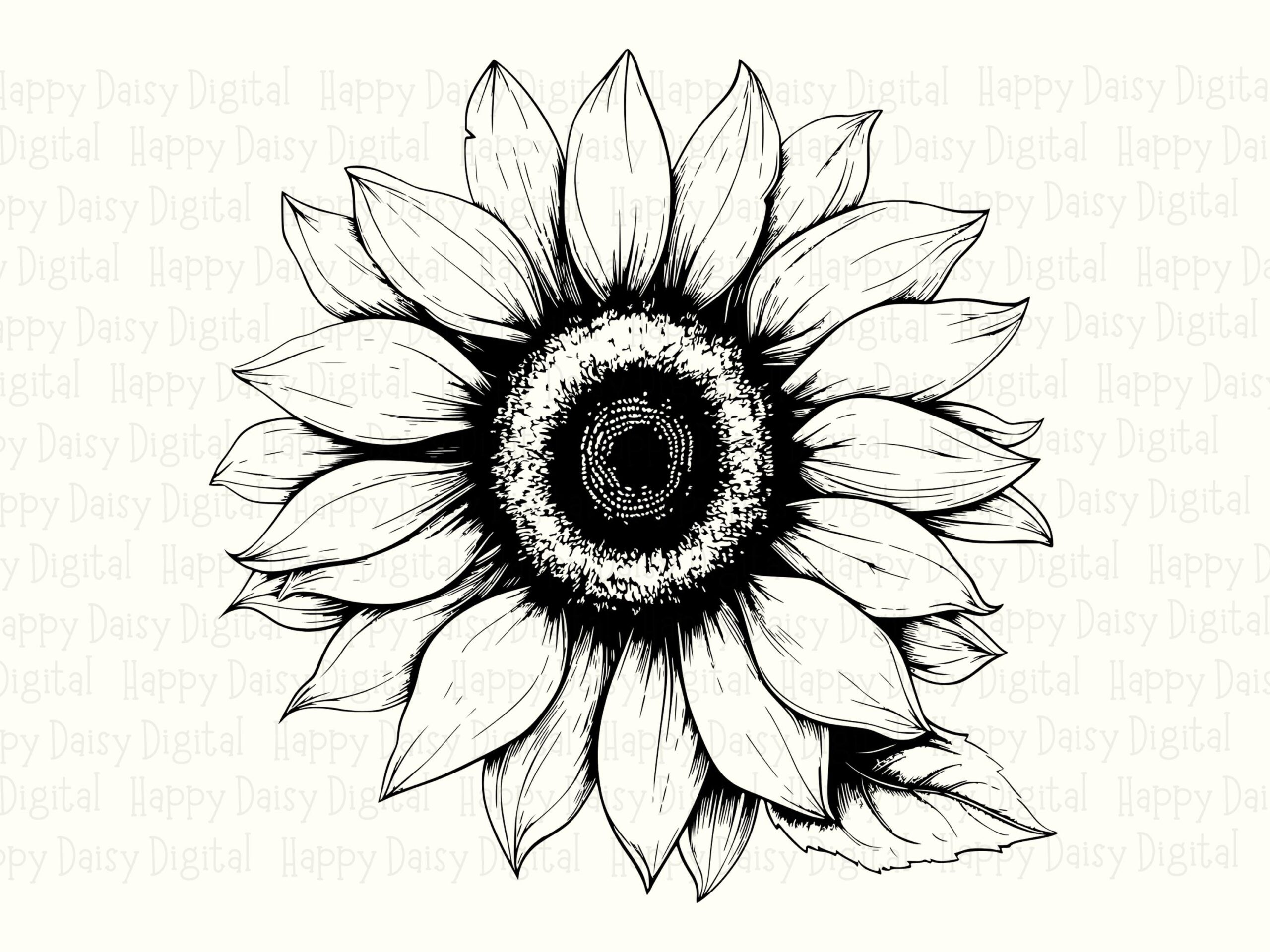 Detailed Ink Sunflower PNG SVG | Sublimation Commercial Use POD - Image 2