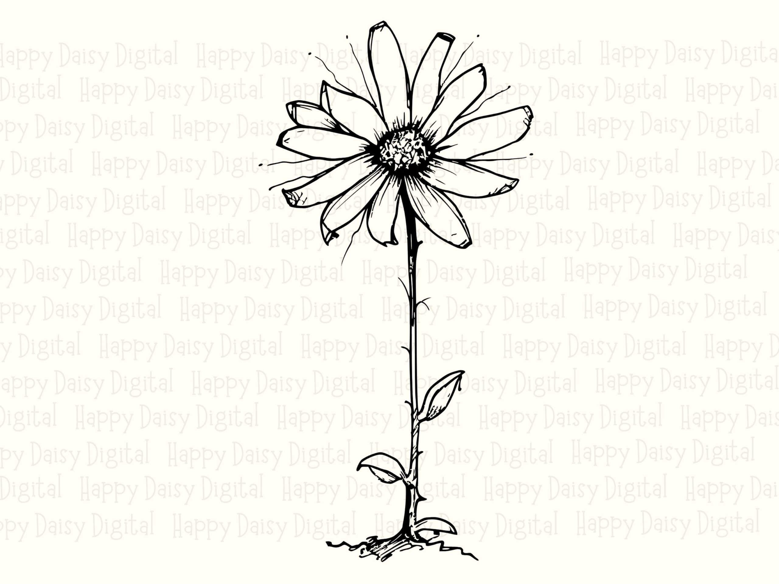 Rooted Daisy PNG SVG | Sublimation Commercial Use POD - Image 2