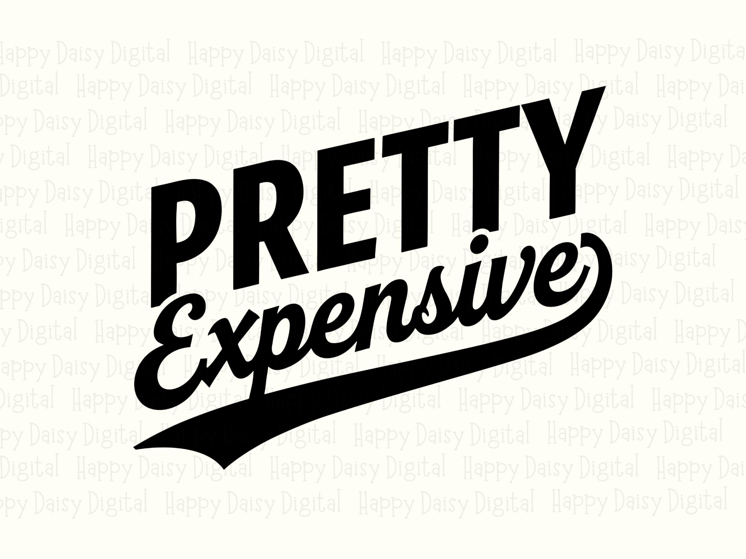 Pretty Expensive, Sassy Quote SVG PNG Bundle | Script Swoosh Design - Commercial Use, 300 DPI - Image 2