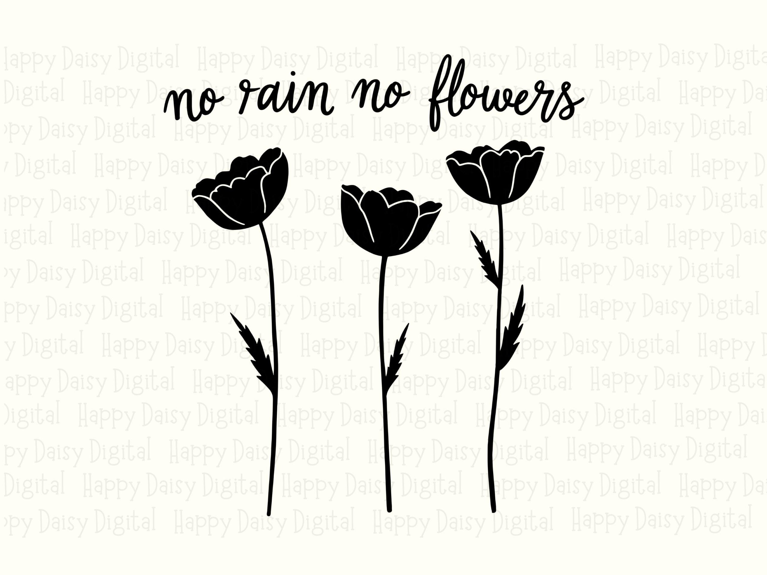Poppy SVG, Inspirational PNG Bundle | Floral Script Artwork, Sublimation 300 DPI - Cricut Silhouette Canva - Image 2