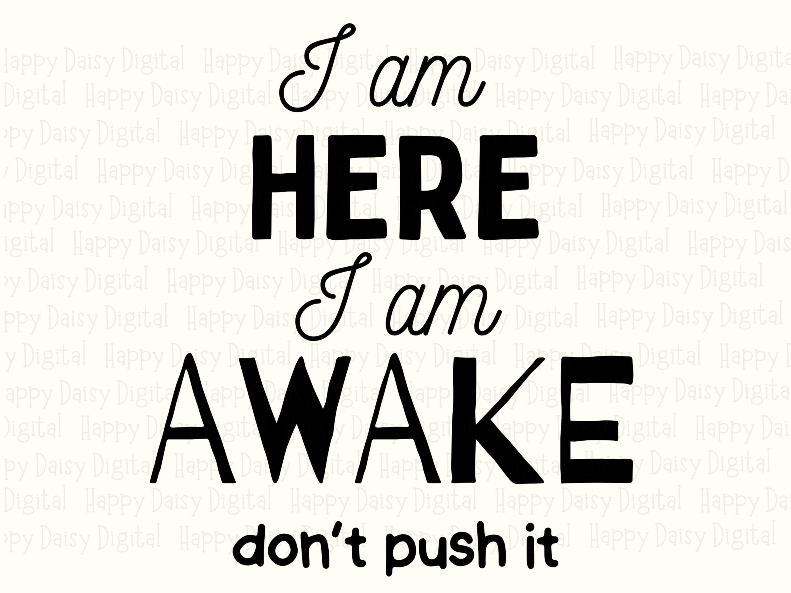 Dont Push It, Clean Font Design, Grumpy Quote PNG | Sublimation, Commercial Use, For POD Sellers, 300 DPI - Image 2