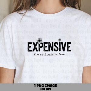 Sublimation PNG, Distressed Expensive Attitude Quote, Daisy Accent Clipart | Commercial Use, 300 DPI