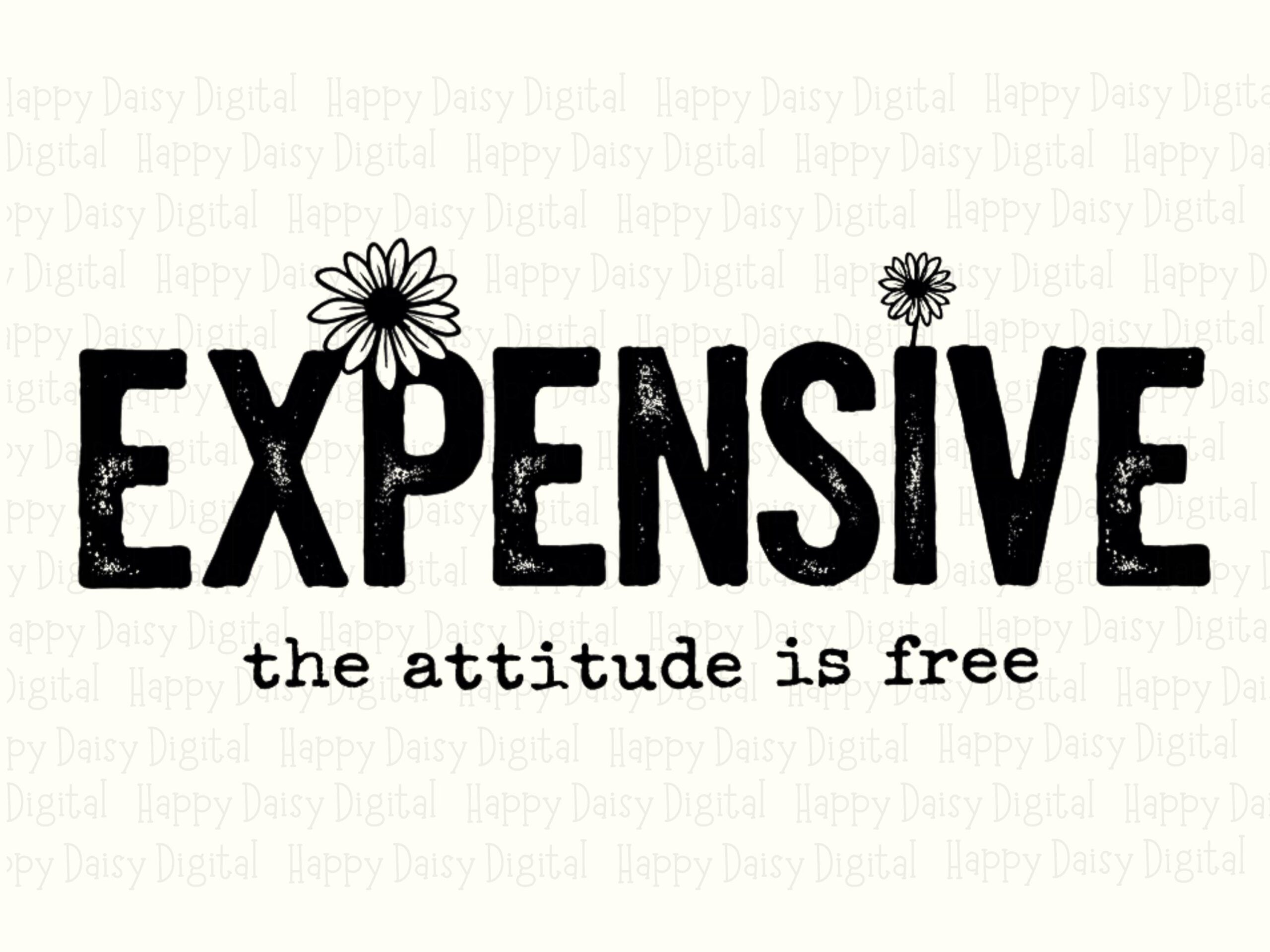 Sublimation PNG, Distressed Expensive Attitude Quote, Daisy Accent Clipart | Commercial Use, 300 DPI - Image 2